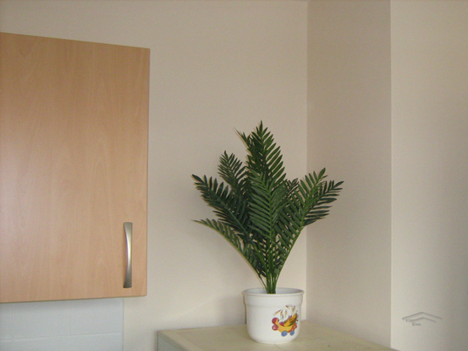 Kitchen and Bathroom Refurbishment London - Pilgrim House - EuroTop